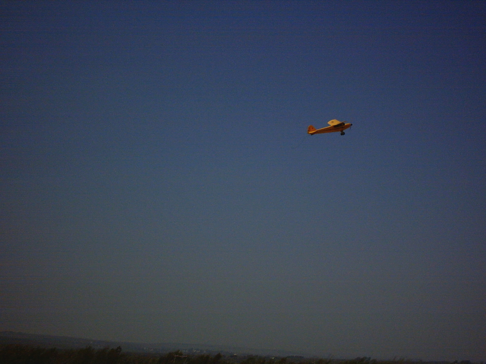 Volo